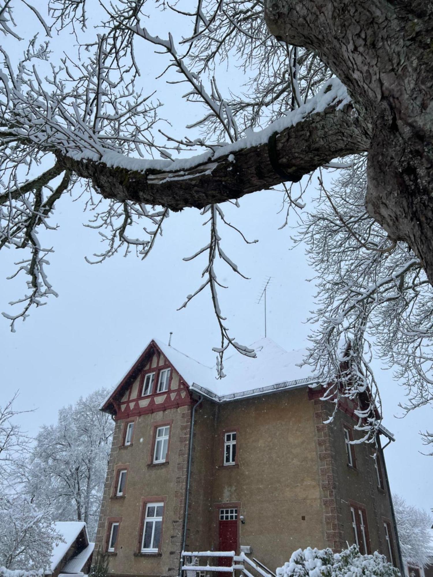 L' Extravagante Im Garten Von Schloss Schmidtheim Luaran gambar